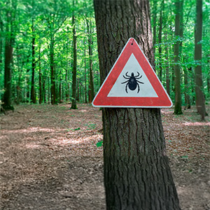 Achtung-Zecken-Schild